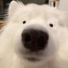 Cooper